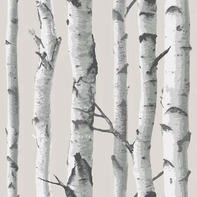 Birch Trunks Wallpaper | West Elm