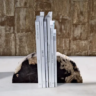 Petrified Wood Bookends (Set of 2), Decorative Accents | West Elm