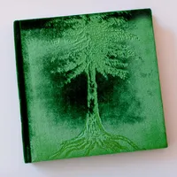 Tree Nature Photo Album | West Elm