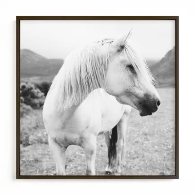 Field Horse Framed Wall Art by Minted for West Elm |
