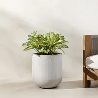 Textured Radius Ficonstone Indoor/Outdoor Planters | West Elm