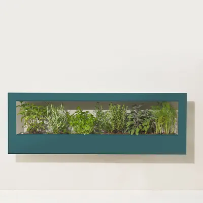 Modern Sprout Landscape Growframe | West Elm
