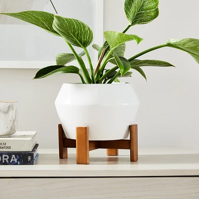 Ilya Turned Wood Planters | West Elm