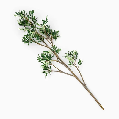 Faux Black Olive Branch | West Elm