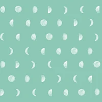 New Moon Removable Wallpaper | West Elm