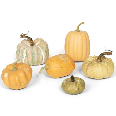 Miniature Pumpkins (Set of 6) | West Elm