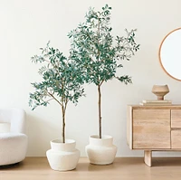 Faux Potted Olive Tree | West Elm