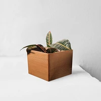 Formr Diamond Self-Watering Planter | West Elm