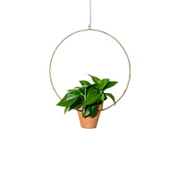 NewMade LA Circle Hanging Planter | West Elm