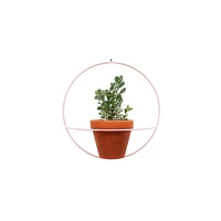 NewMade LA Circle Wall Planter | West Elm