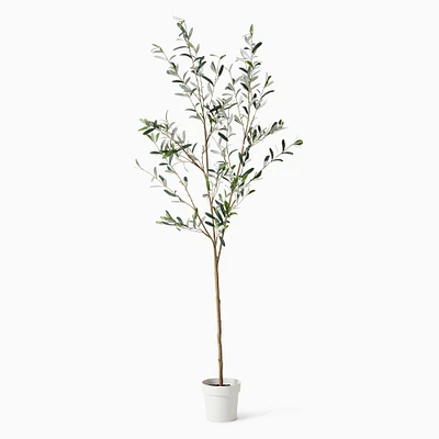 Faux Potted Black Olive Tree | West Elm