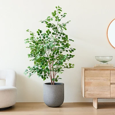 Faux Potted Ficus Tree & Radius Planter Bundle | West Elm