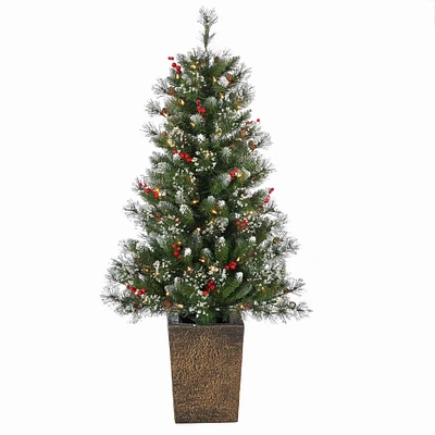 Potted Glazier Tree with Iced Tips - 4' | West Elm