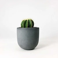 SETTLEWELL Concrete Bowl Planters | West Elm