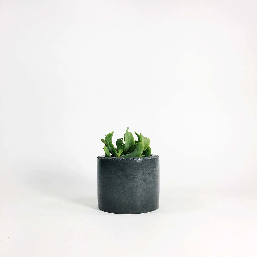 SETTLEWELL Short Concrete Vase | West Elm