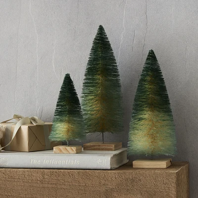 Decorative Bottlebrush Tree Objects (Set of 3) - Green Ombre | West Elm