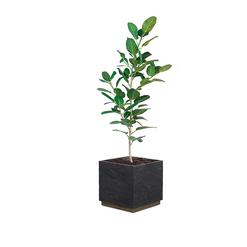 Ely Planter | West Elm