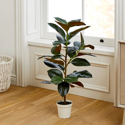 Faux Potted Rubber Tree | West Elm