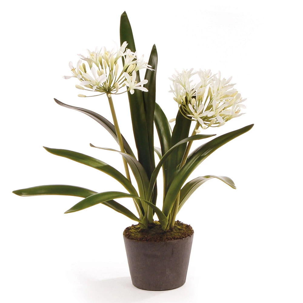 Faux Agapanthus Plant | West Elm