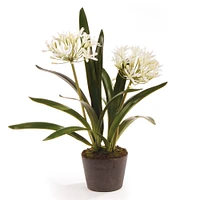 Faux Agapanthus Plant | West Elm