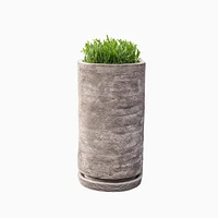 Sgraffitto Outdoor Planters | West Elm