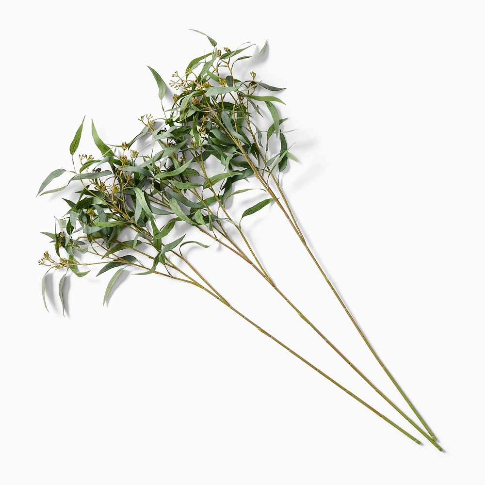 Faux Branchy Eucalyptus Branches (Set of 3) | West Elm