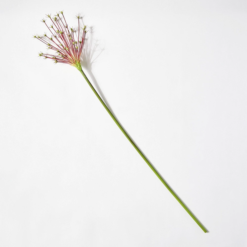 Faux Firework Allium Stem | West Elm