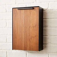 Modern Steel & Teak Mailbox | West Elm