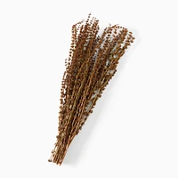 Dried Natural Basil Stems | West Elm