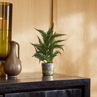 Faux Juniper Tree | West Elm