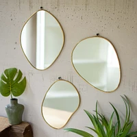 Metal Framed Organic Shaped Mirrors (Set of 3) | West Elm