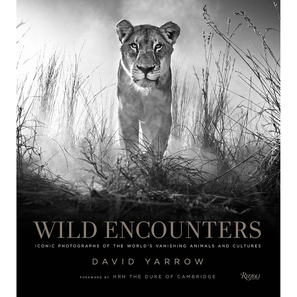 Wild Encounters | West Elm