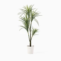 Faux Potted Dracaena Plant | West Elm