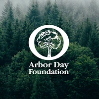 Arbor Day Donation | West Elm