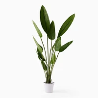 Faux Potted Bird of Paradise Plant | West Elm