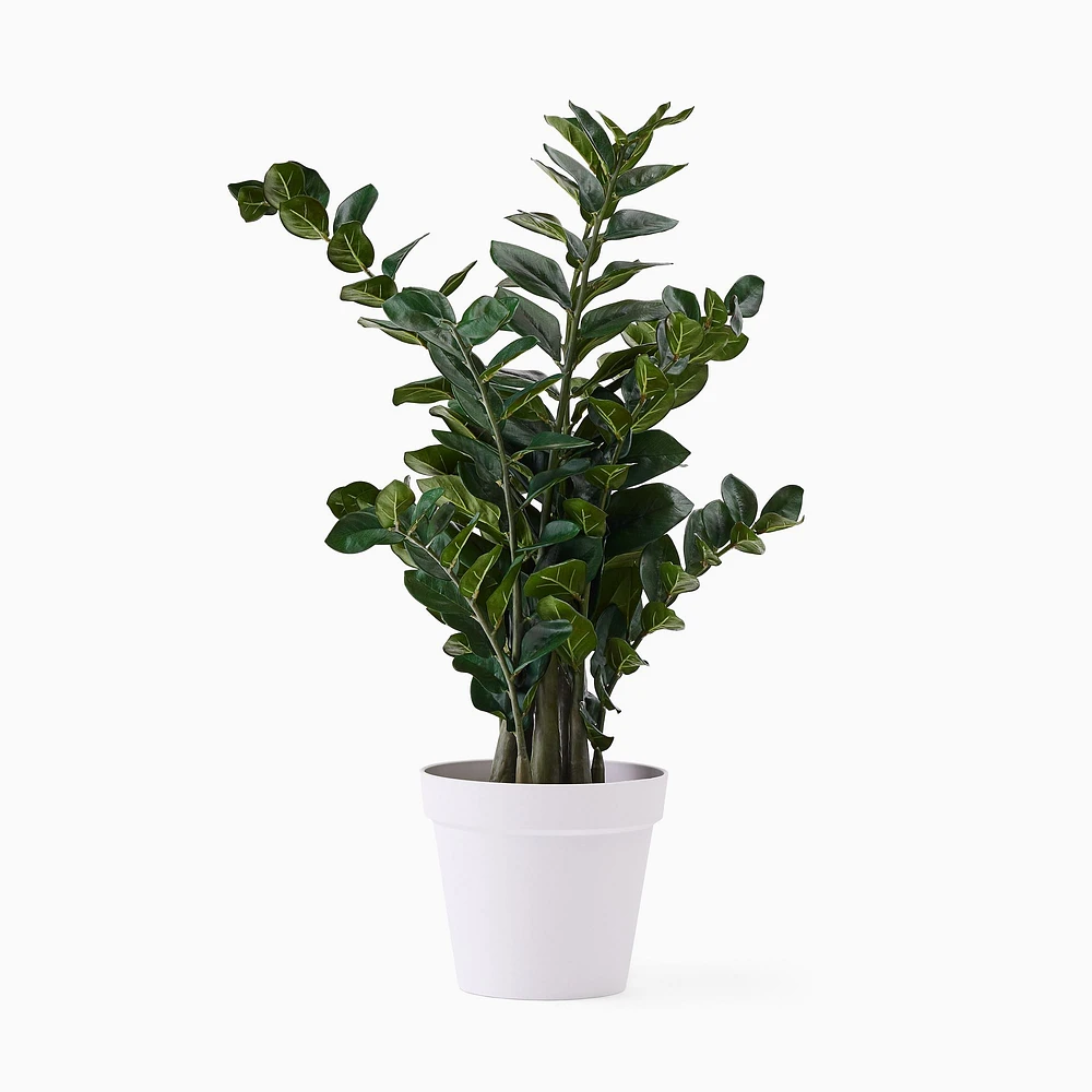 Faux Potted ZZ Plant | West Elm