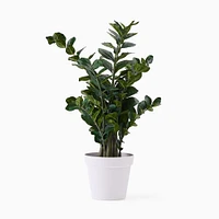 Faux Potted ZZ Plant | West Elm