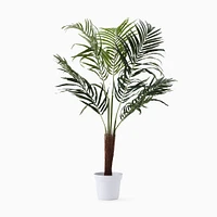 Faux Potted Fan Palm Tree | West Elm