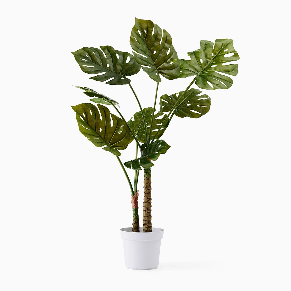 Faux Potted Monstera Plant | West Elm