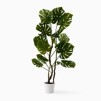 Faux Potted Monstera Plant | West Elm