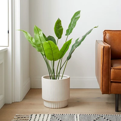 Faux Potted Bird of Paradise Plant | West Elm