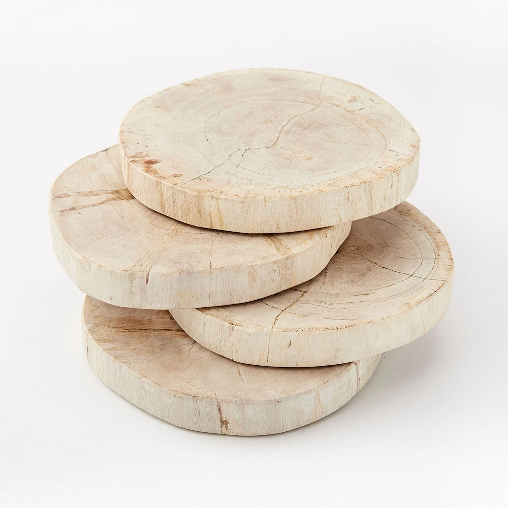 Petrified Wood Coasters (Set of 4) | West Elm