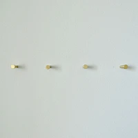 Modern Home by Bellver Brass Peg Wall Hooks - Set of 4 | West Elm