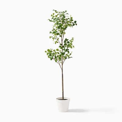 Faux Potted Snowball Tree | West Elm
