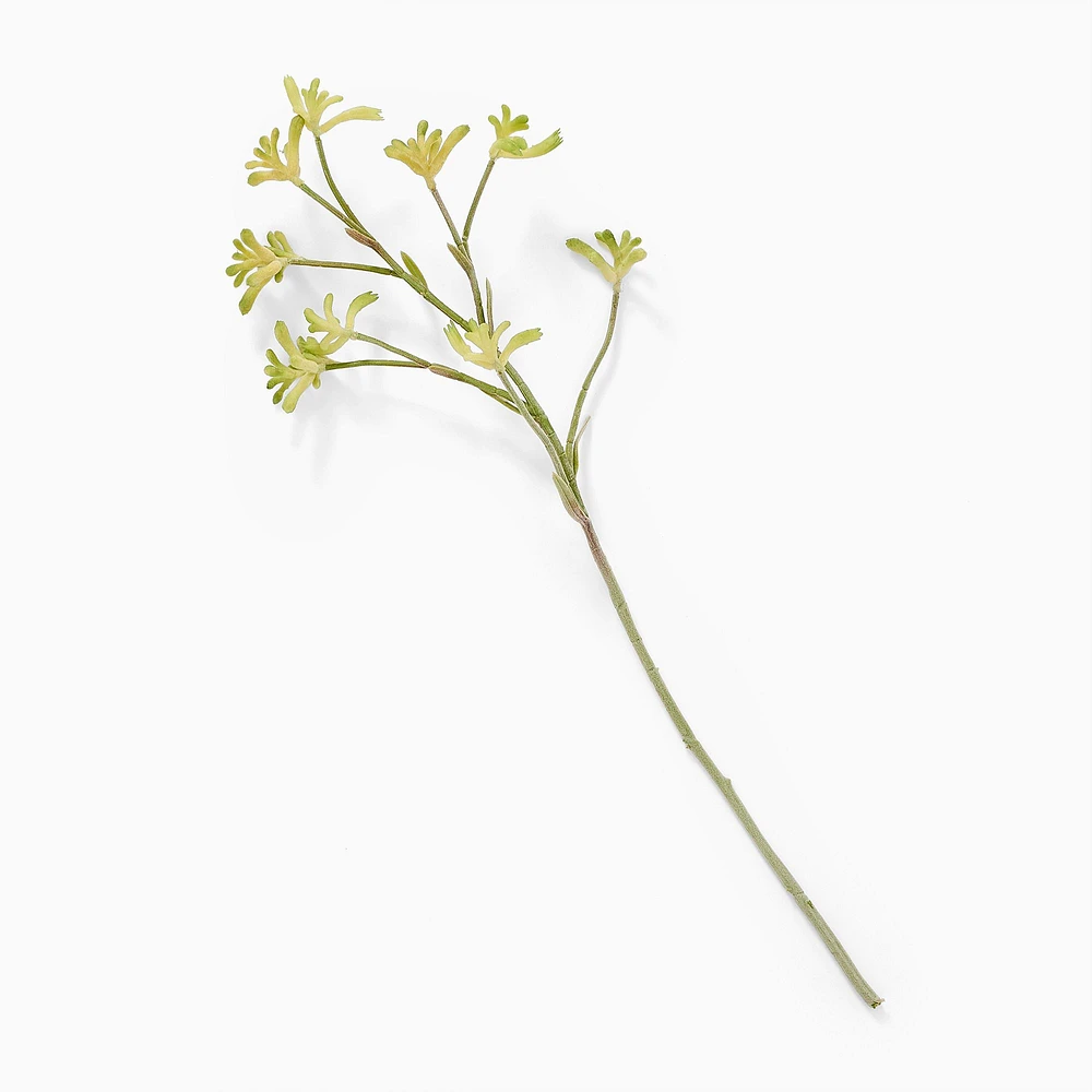 Faux Kangaroo Paw Stem | West Elm