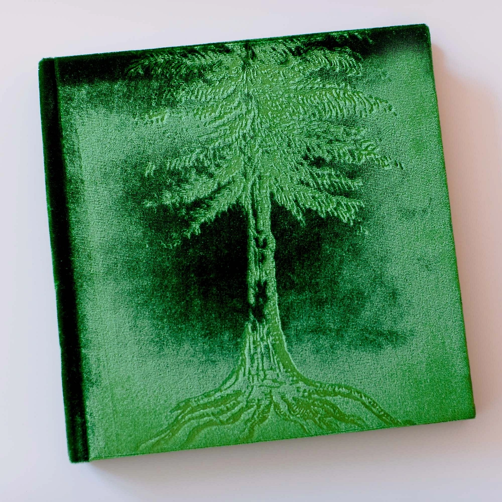 Tree Nature Photo Album | West Elm