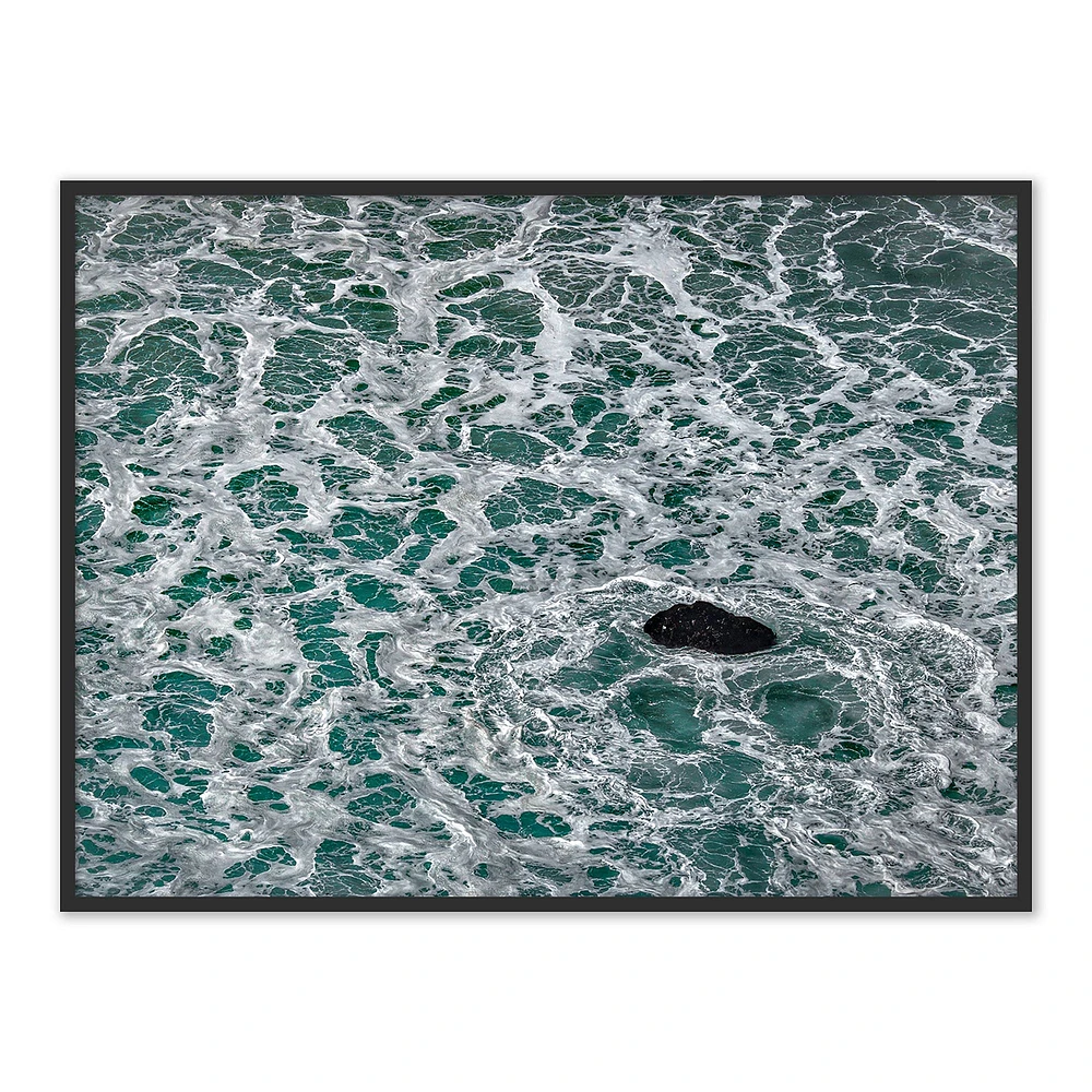 The Life Of Water Framed Wall Art by Shawn Thomas | West Elm