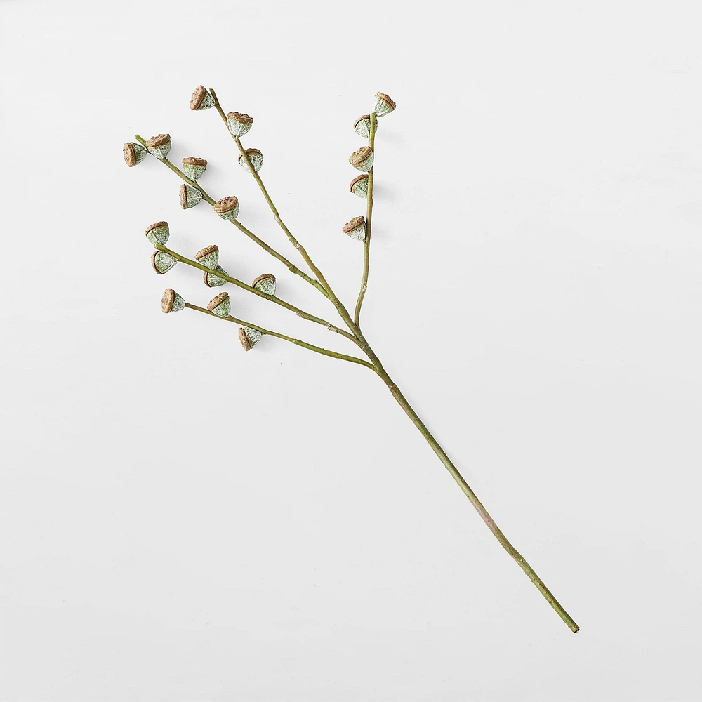 Faux Eucalyptus Pod Branch | West Elm