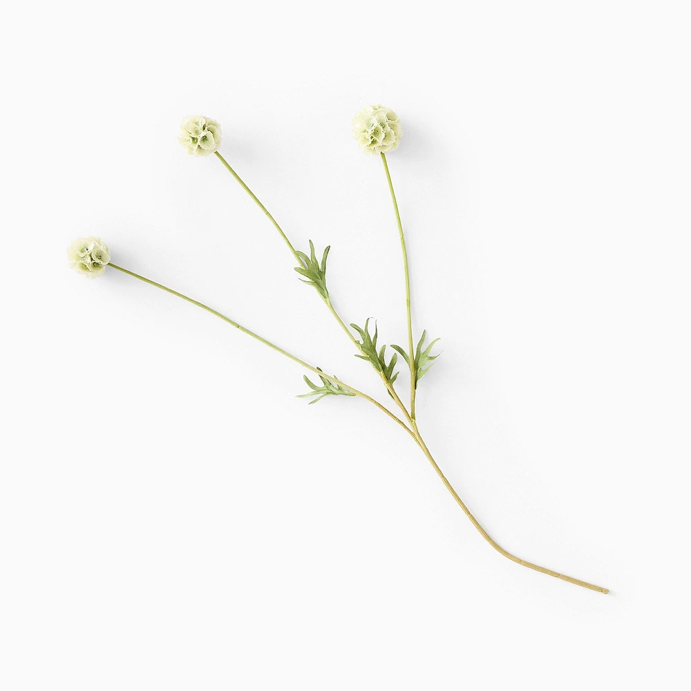 Faux Scabiosa Stem | West Elm