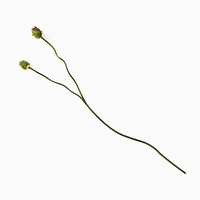 Faux Snake Ball Allium Stem | West Elm